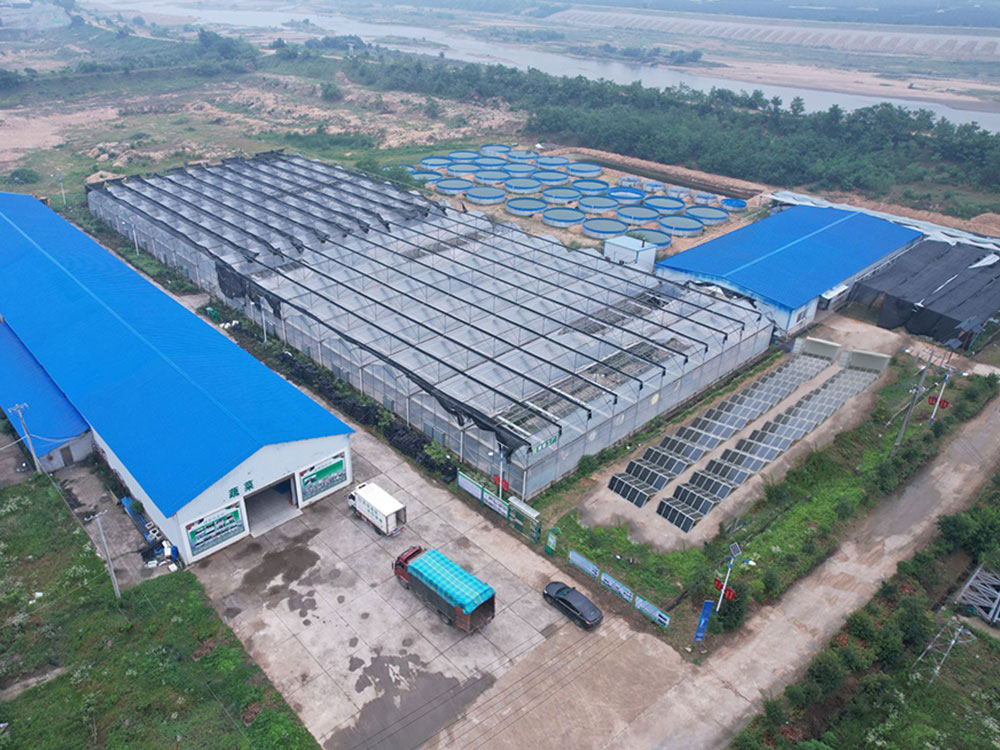 Solar Power Containers for Bekalan kuasa yang disediakan sendiri